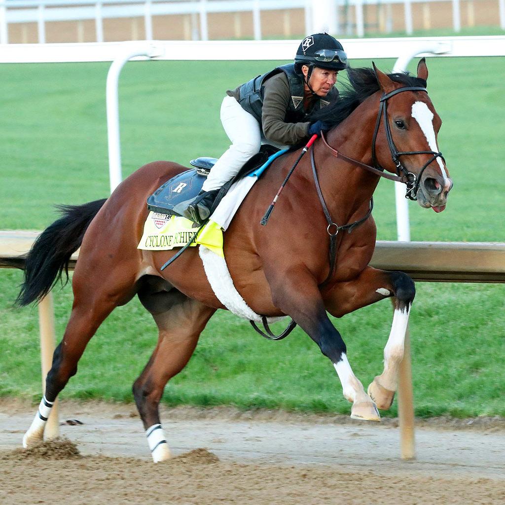 CYCLONE MISCHIEF - COUTESY COADY PHOTOGRAPHY.jpeg